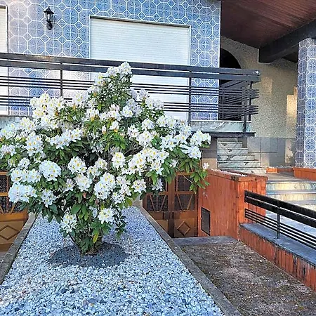 Welcome To Casa Mirao Bed & Breakfast Povoa de Lanhoso